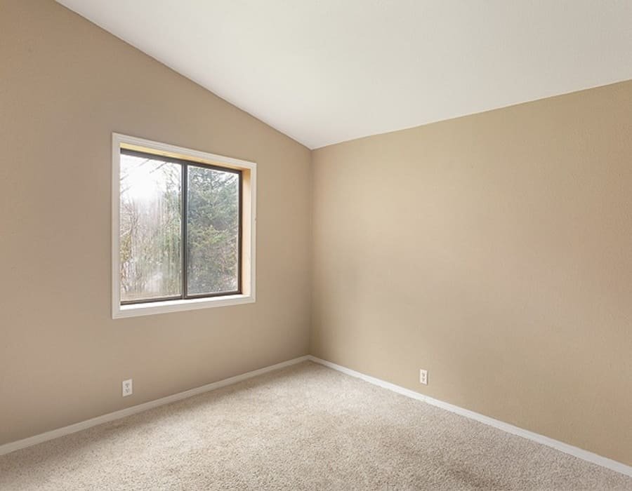 معلم دهانات بالدمام